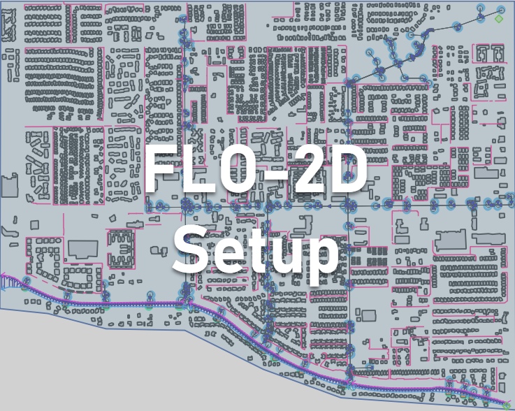 Setup the FLO-2D Demo.